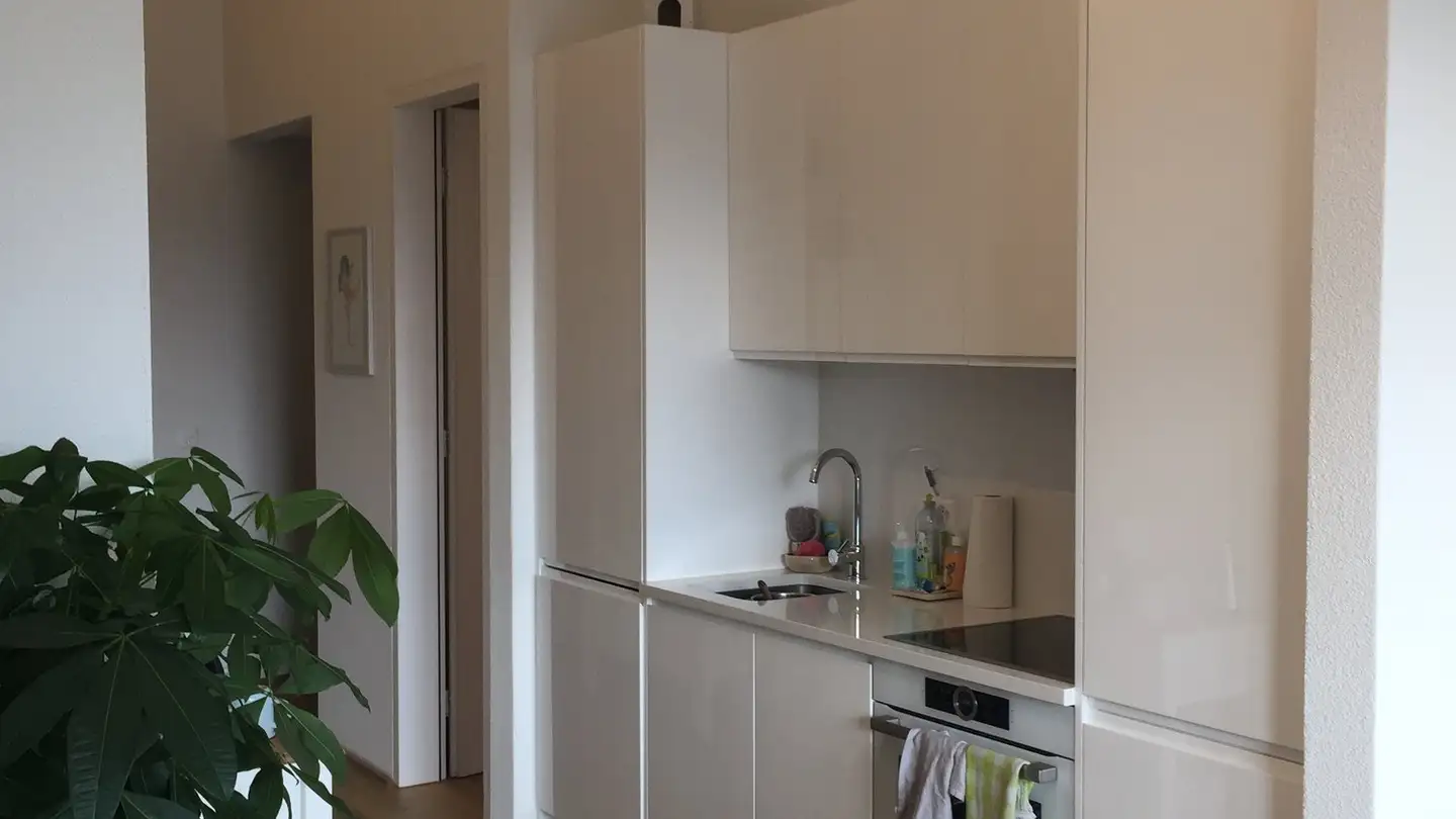 Dachgeschosswohnung mieten - Luzernerstrasse 45b, 4800 Zofingen