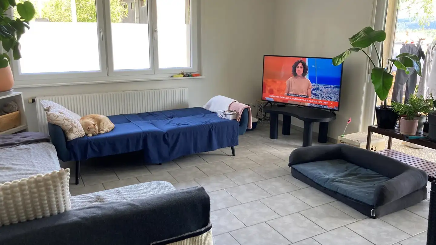 Appartamento in affitto - Rue Du Chapeau-Râblé 52, 2300 La Chaux-de-Fonds - Foto 3