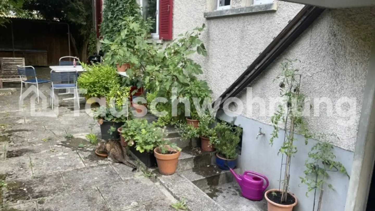 Appartement à louer - 8406 Winterthur