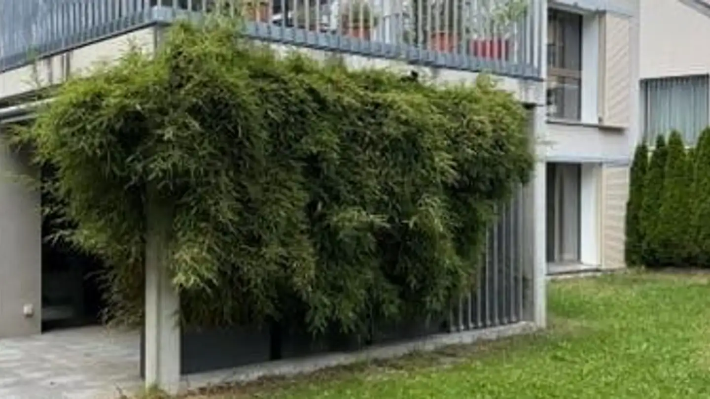 Wohnung mieten - Moosstrasse 7, 8965 Berikon
