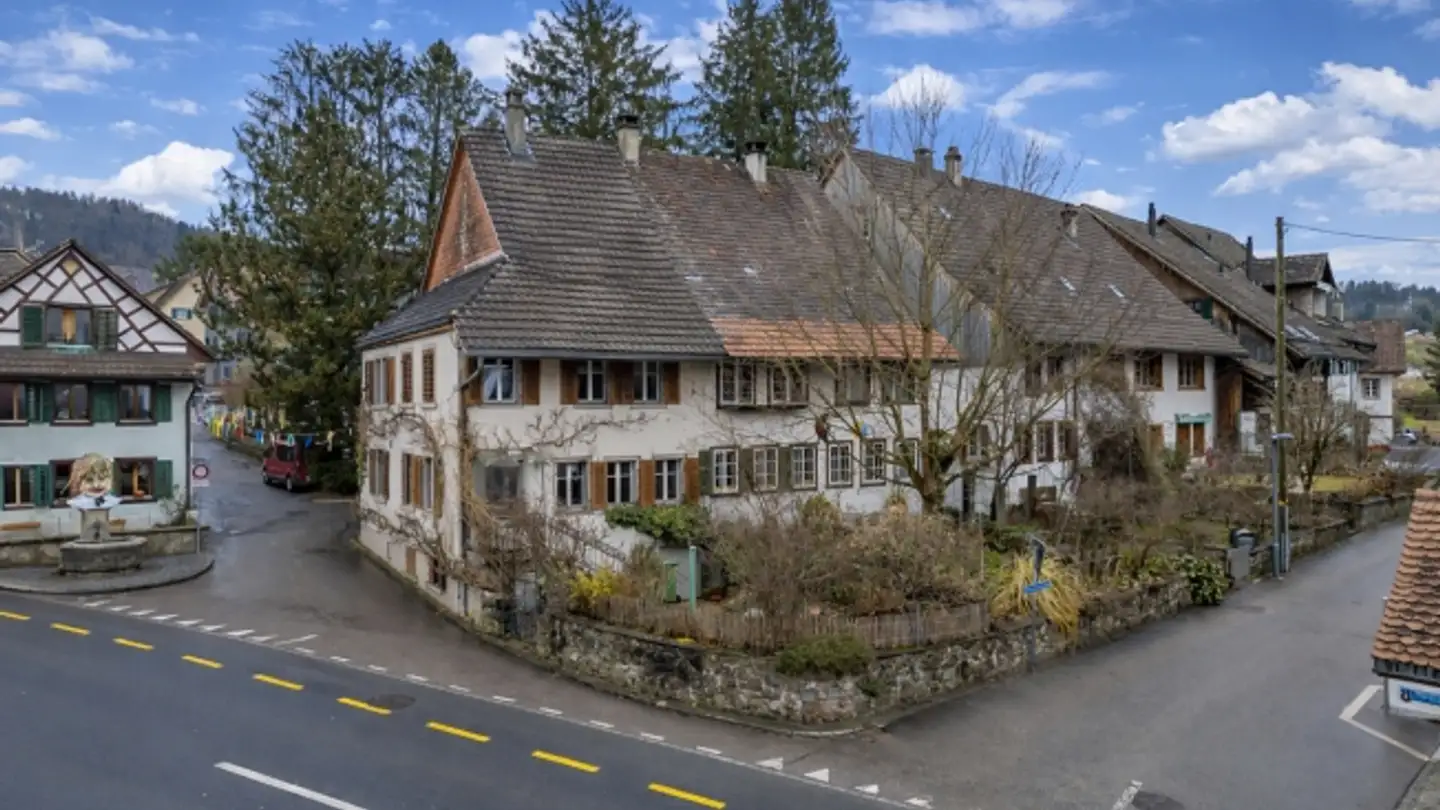 Single house for sale - Albisstrasse 44, 8932 Mettmenstetten