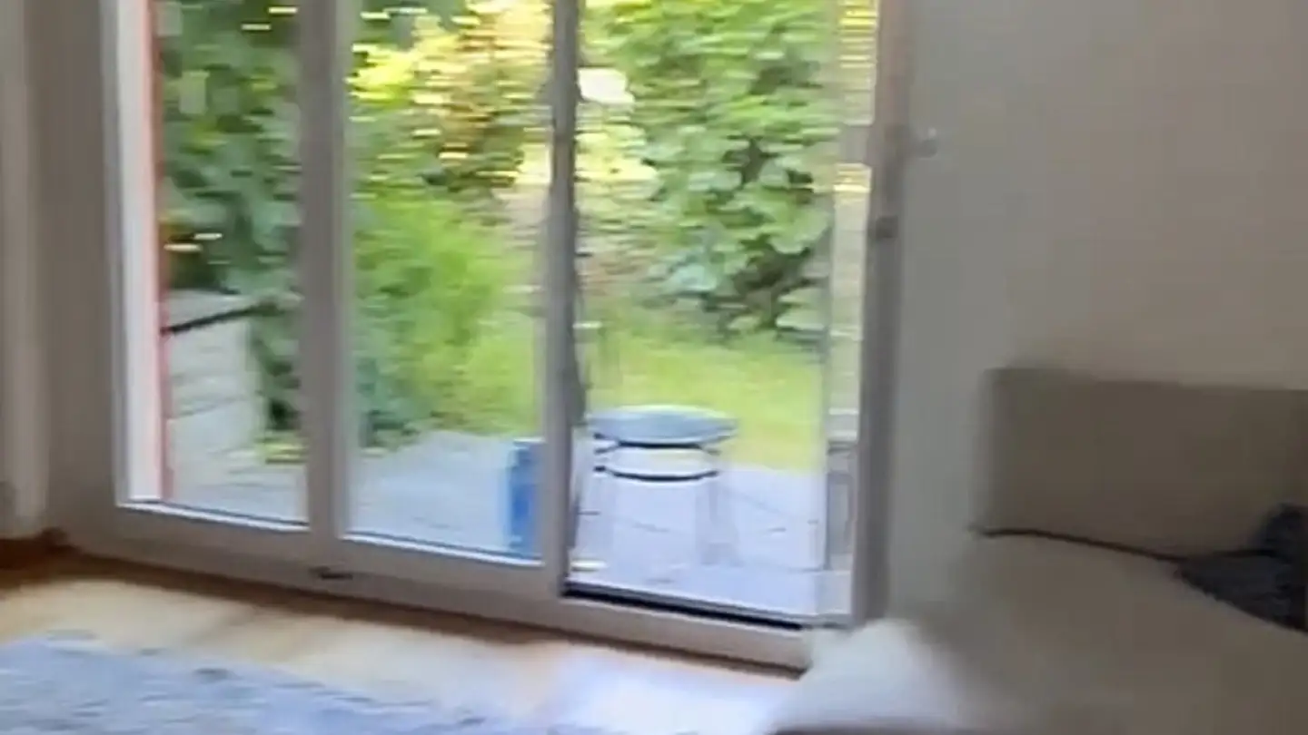 Apartment for rent - 8053 Zürich