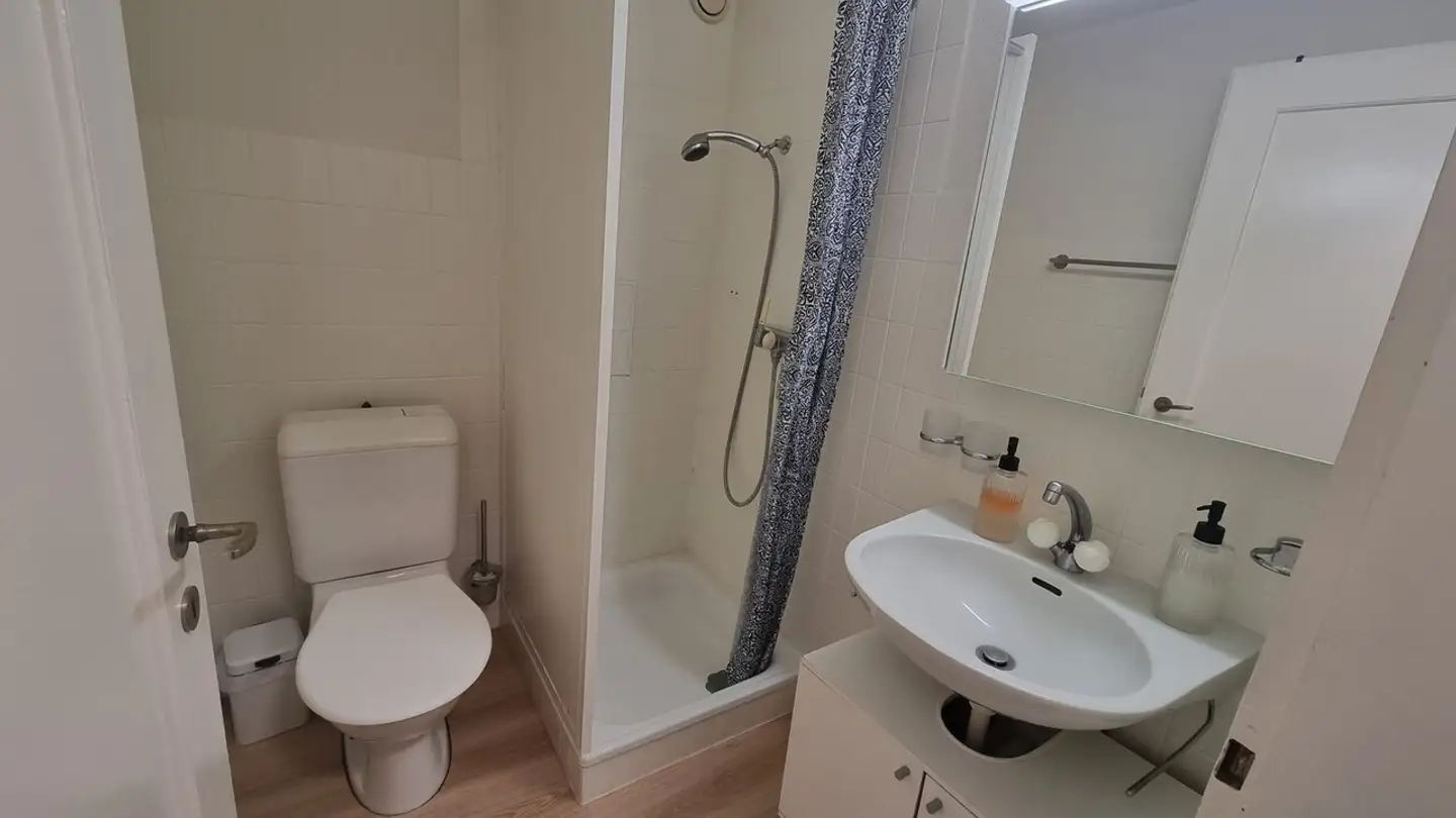 Appartement à louer - Schwendenweg, 8003 Zürich - Photo 4