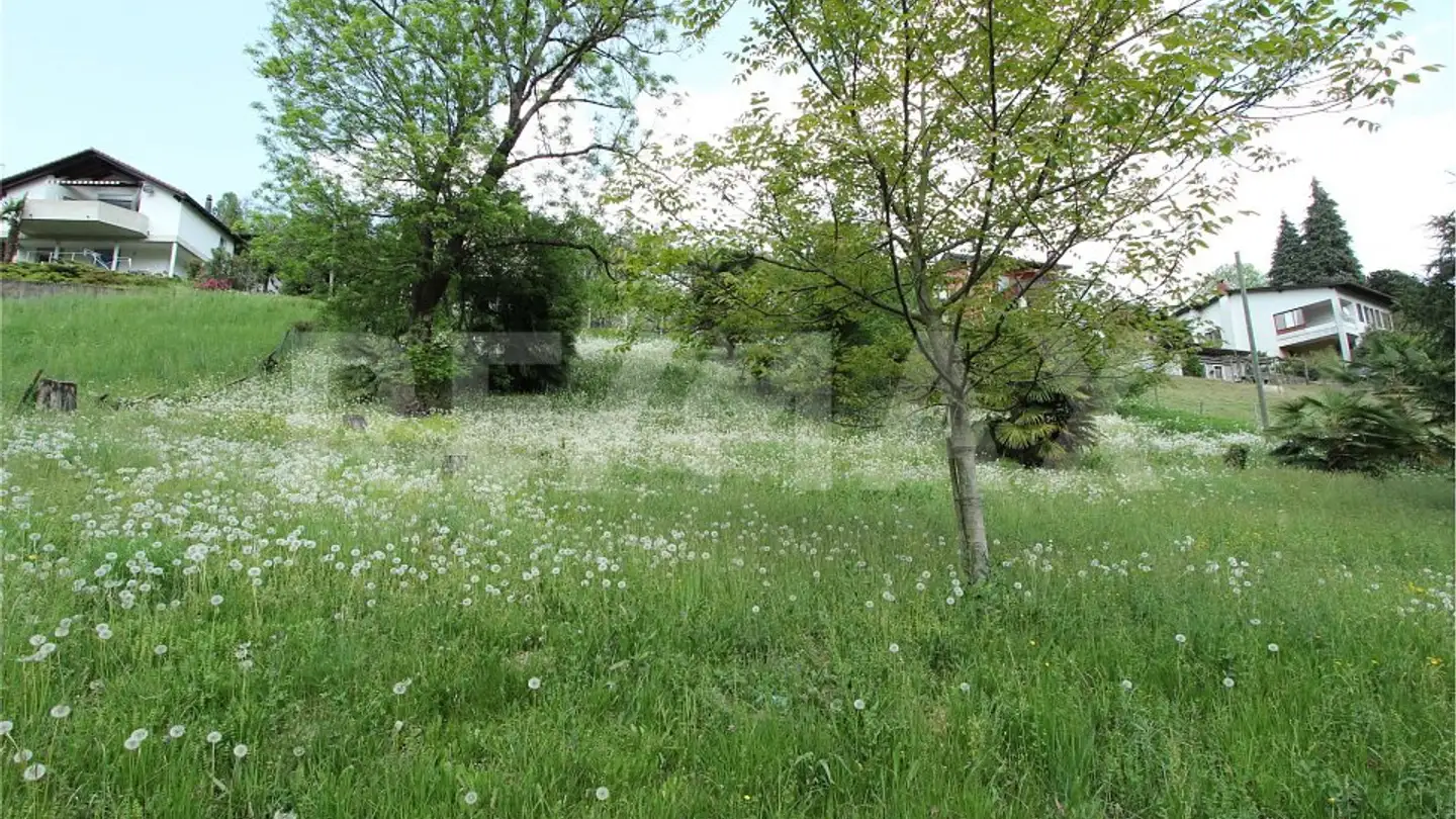 Bauland kaufen - 6998 Monteggio - Foto 4