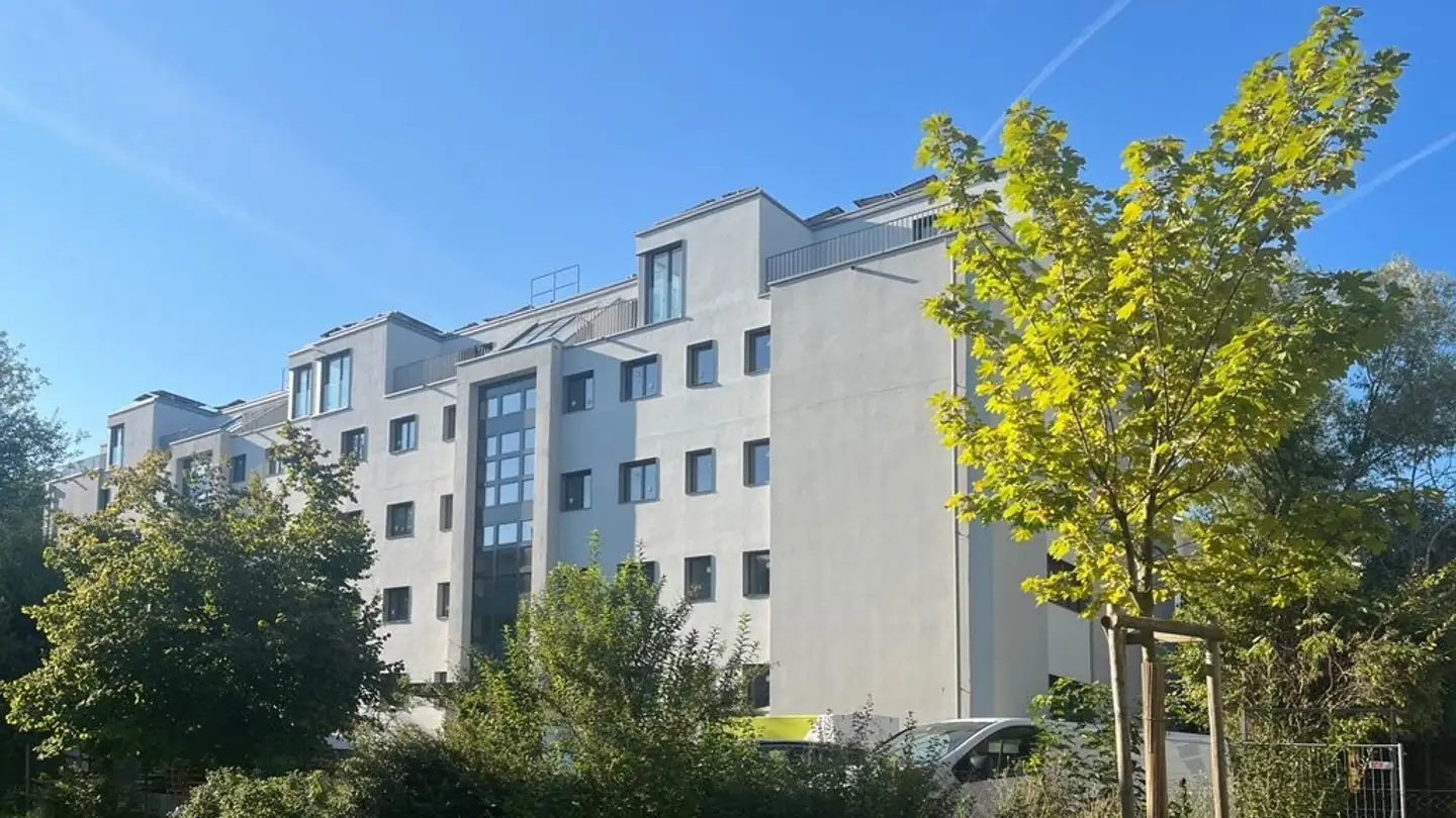 Penthouse for rent - In Der Wässeri 27, 8047 Zürich