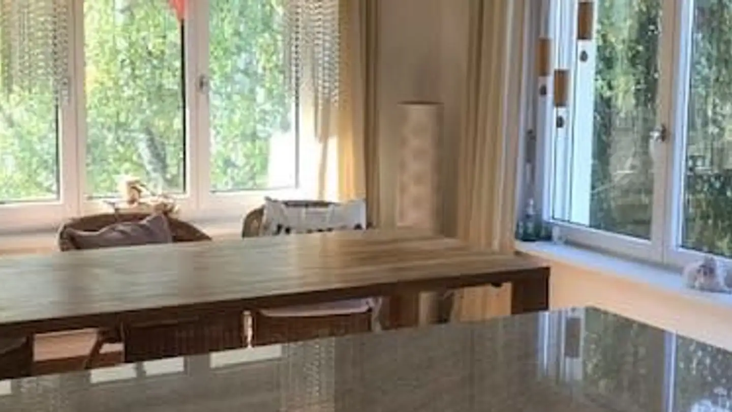 Appartement à louer - Bönistrasse 22, 8800 Thalwil - Photo 4