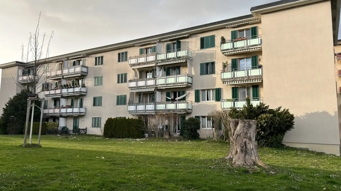 Wohnung mieten - Stettbachstrasse 193, 8051 Zürich