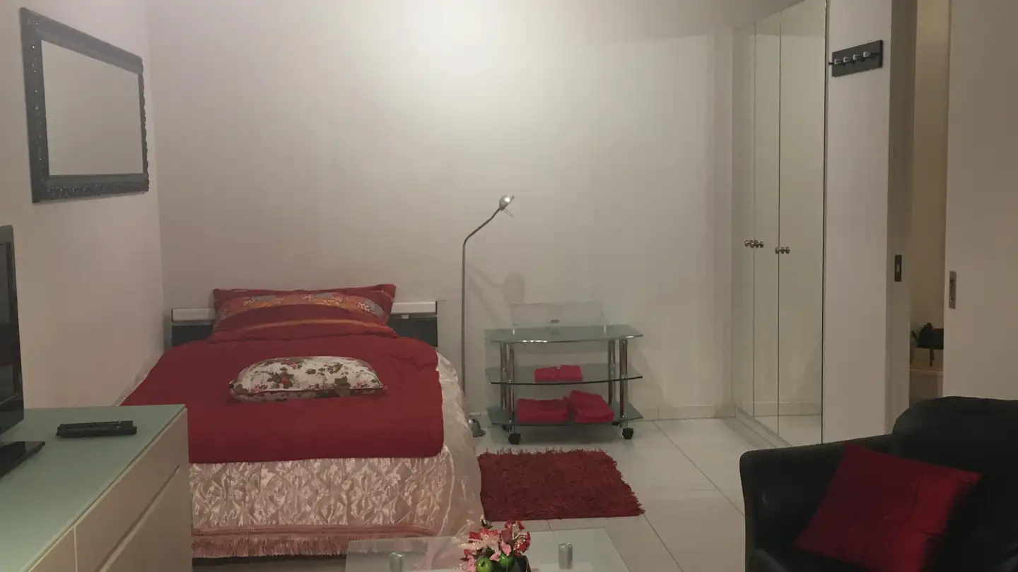 Furnished apartment for rent - Rosengartenstrasse, 8107 Buchs ZH - Photo 4