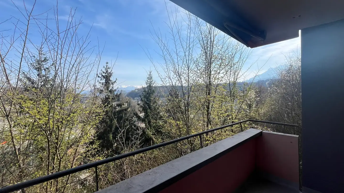 Appartement à louer - Heiterweid 19, 6015 Luzern - Photo 3