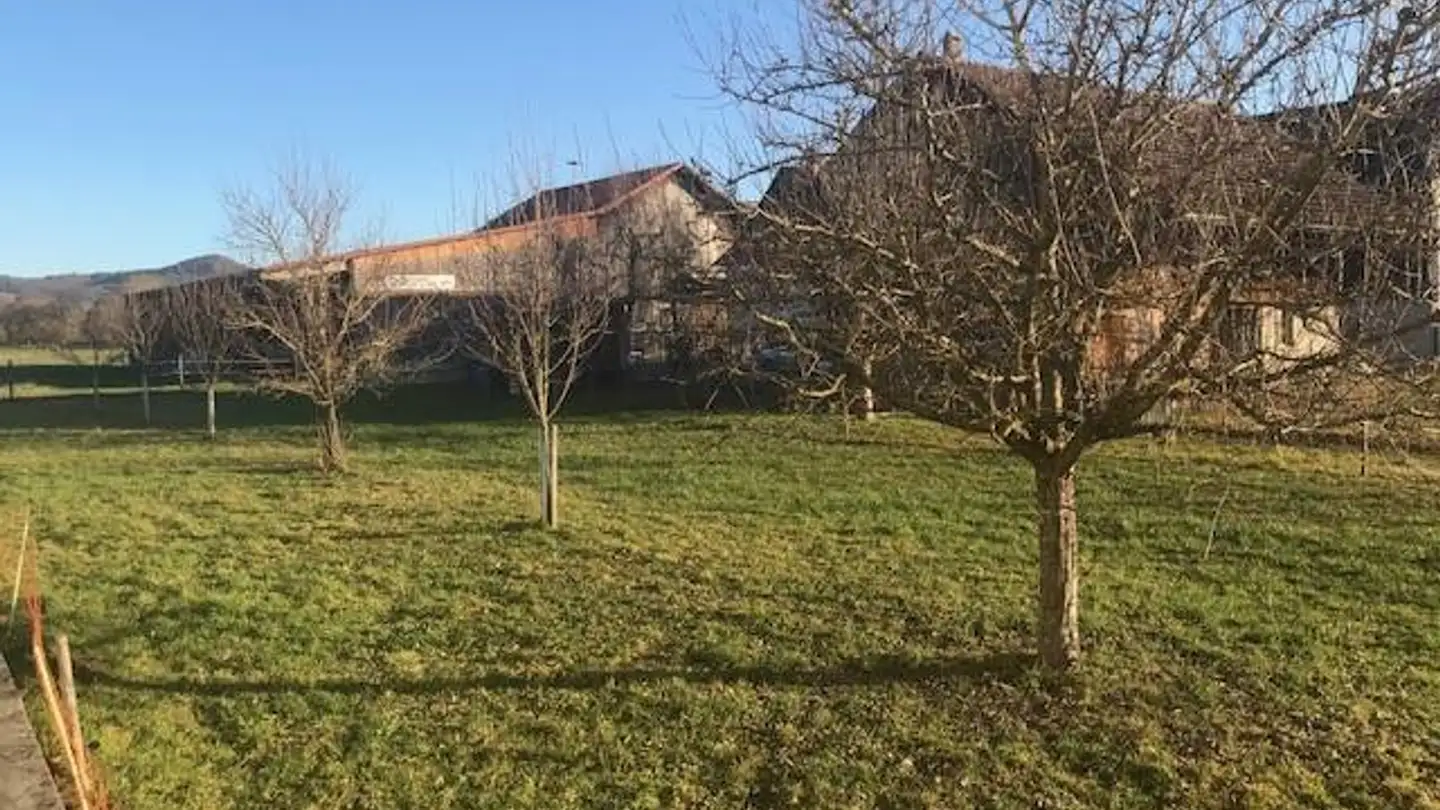 Mehrfamilienhaus kaufen - 2946 Miécourt