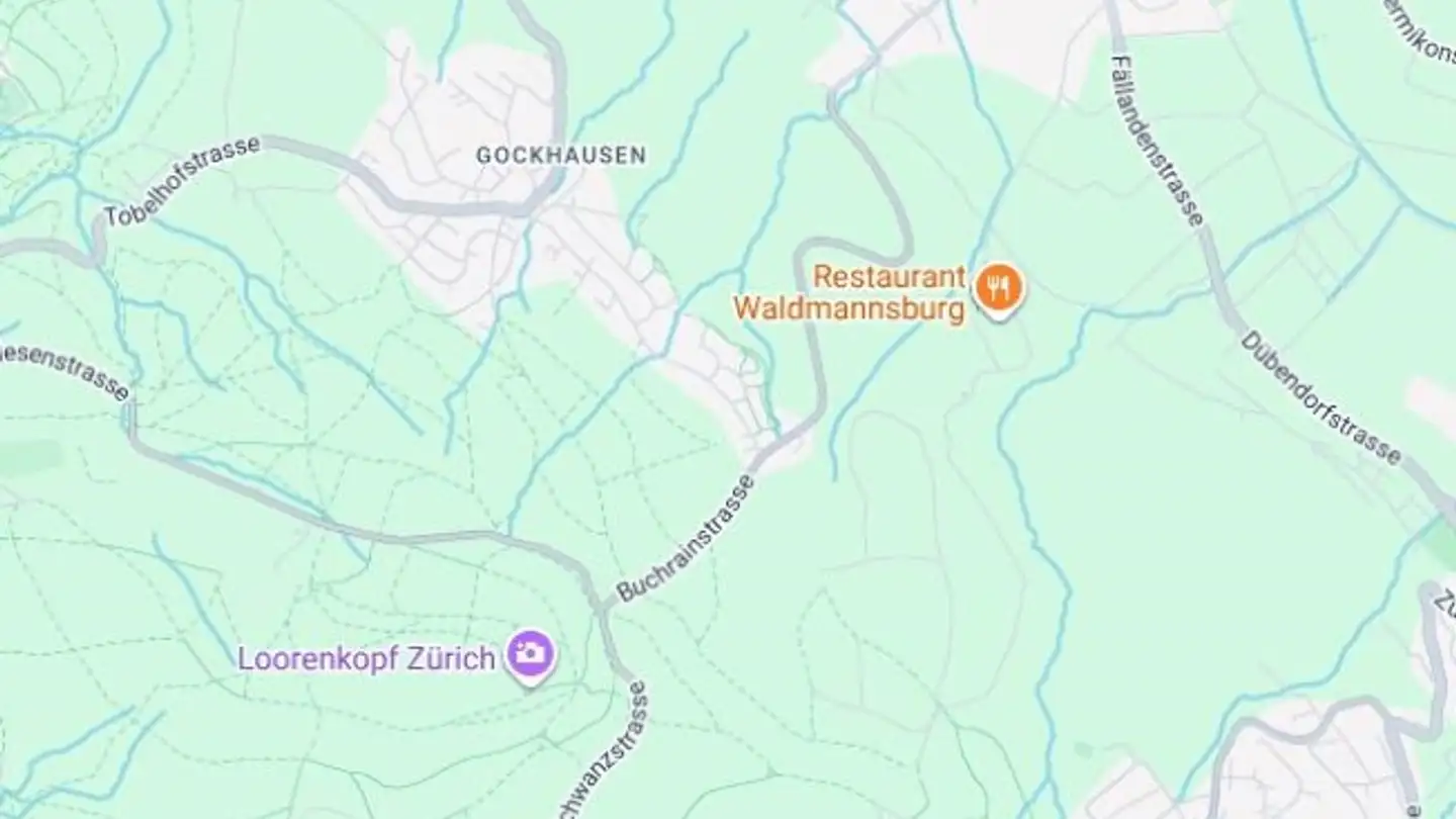 Wohnung mieten - 8044 Zürich