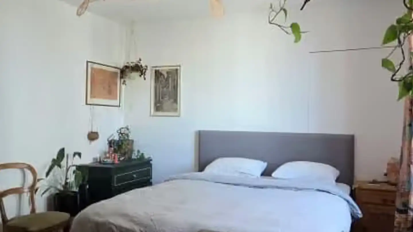 Chambre à louer - Albisstrasse, 8038 Zürich - Photo 2