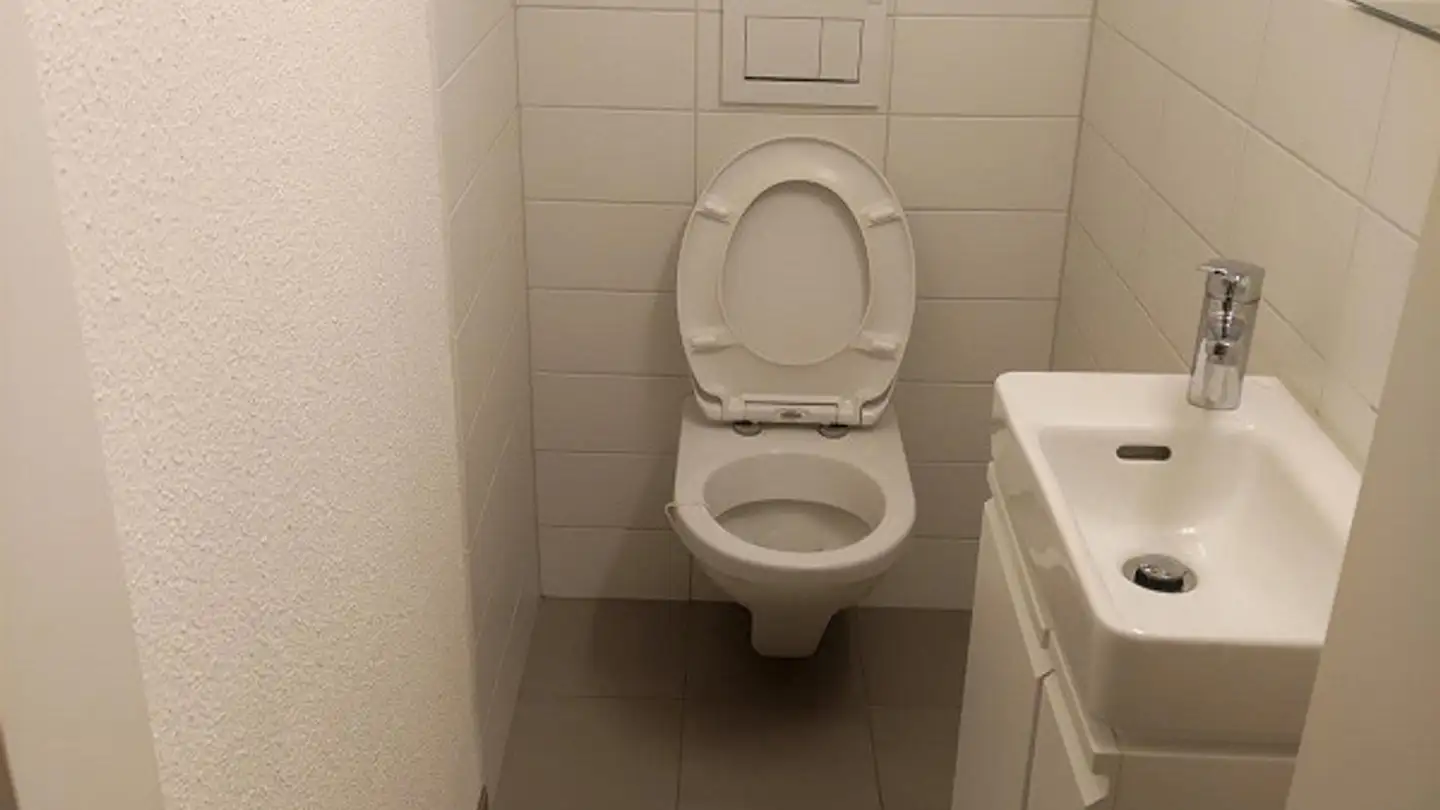 Appartamento in affitto - Rümikerstrasse 31, 8409 Winterthur - Foto 3