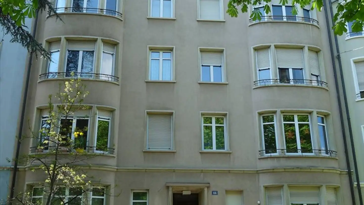 Appartamento in affitto - Strassburgerallee 66, 4055 Basel