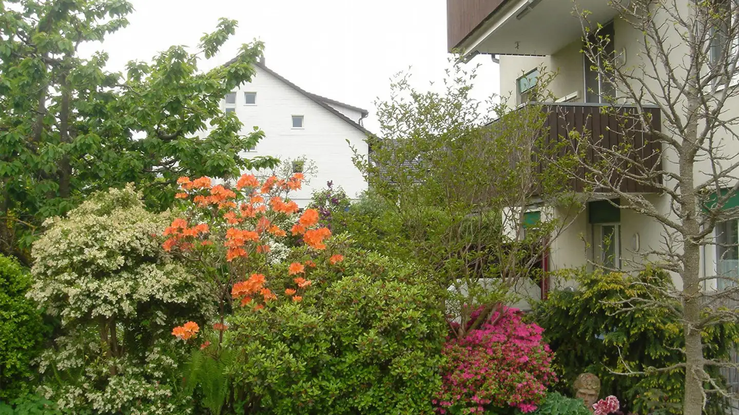 Apartment for rent - Rüterspüelstrasse 19, 8173 Neerach - Photo 3