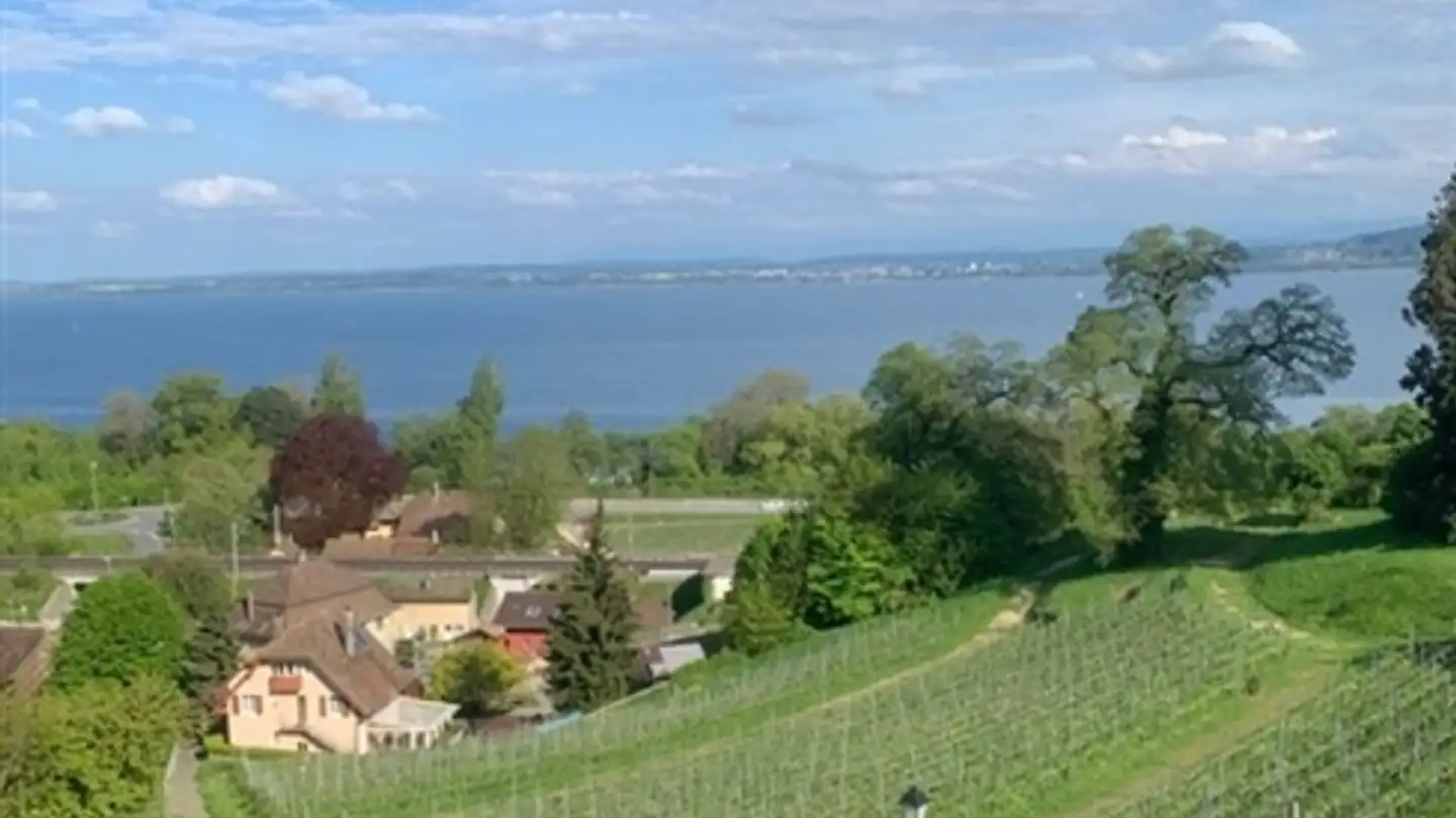 Office space for rent - 2028 Vaumarcus - Photo 2