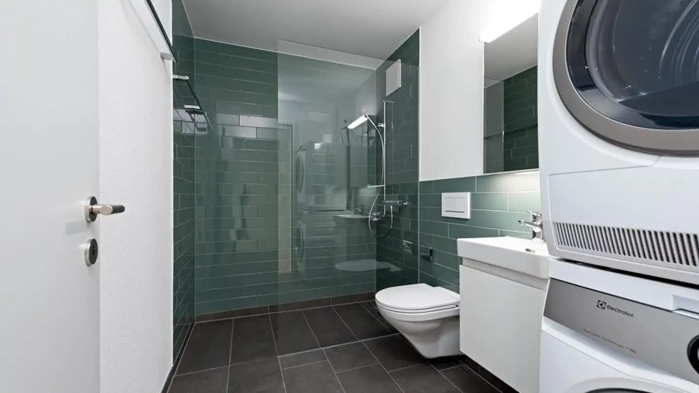 Appartamento in affitto - Langgrütstrasse 100, 8047 Zürich - Foto 4