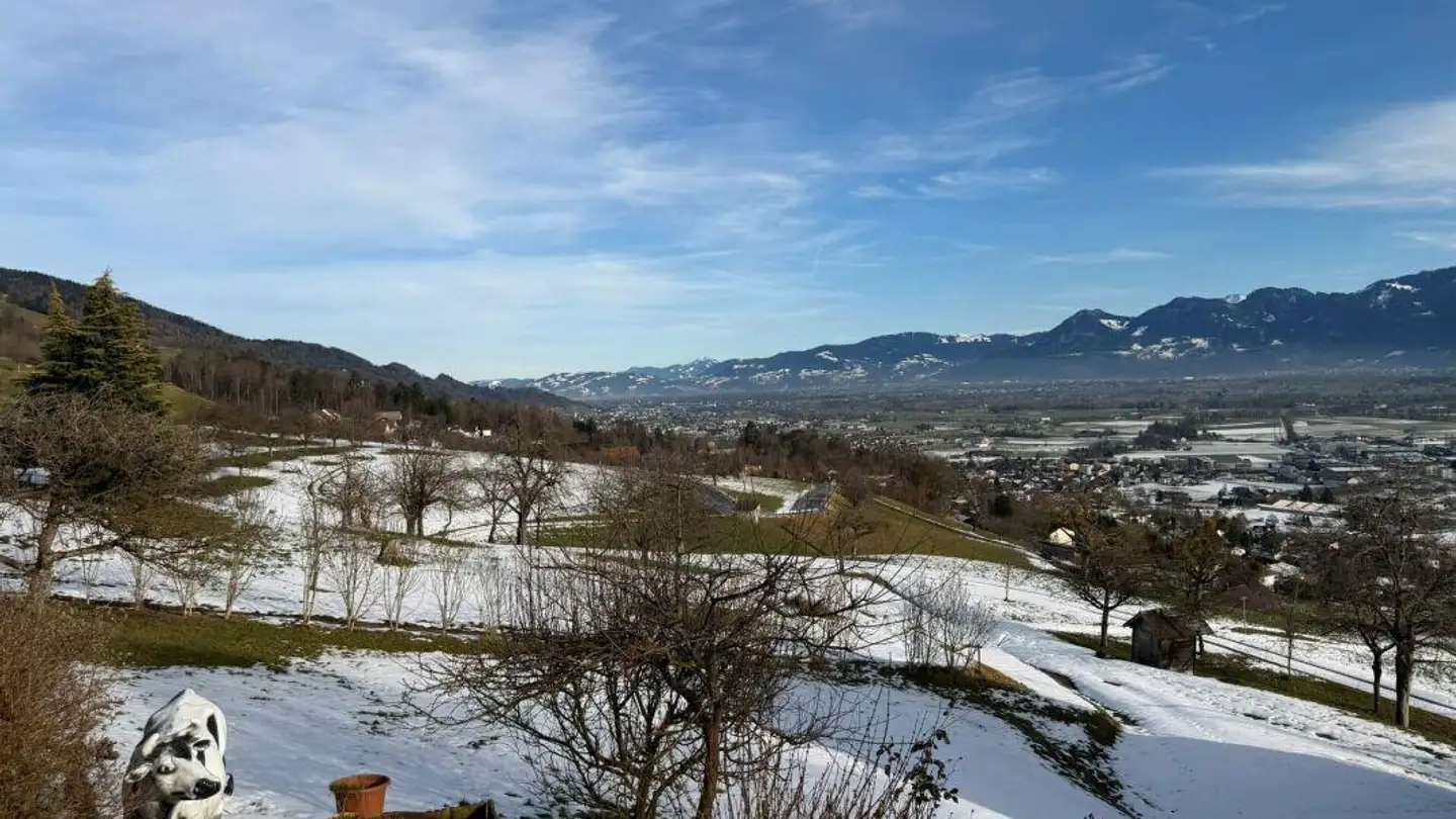 Casa singola in vendita - Dameshäuser 5, 9450 Altstätten SG - Foto 4