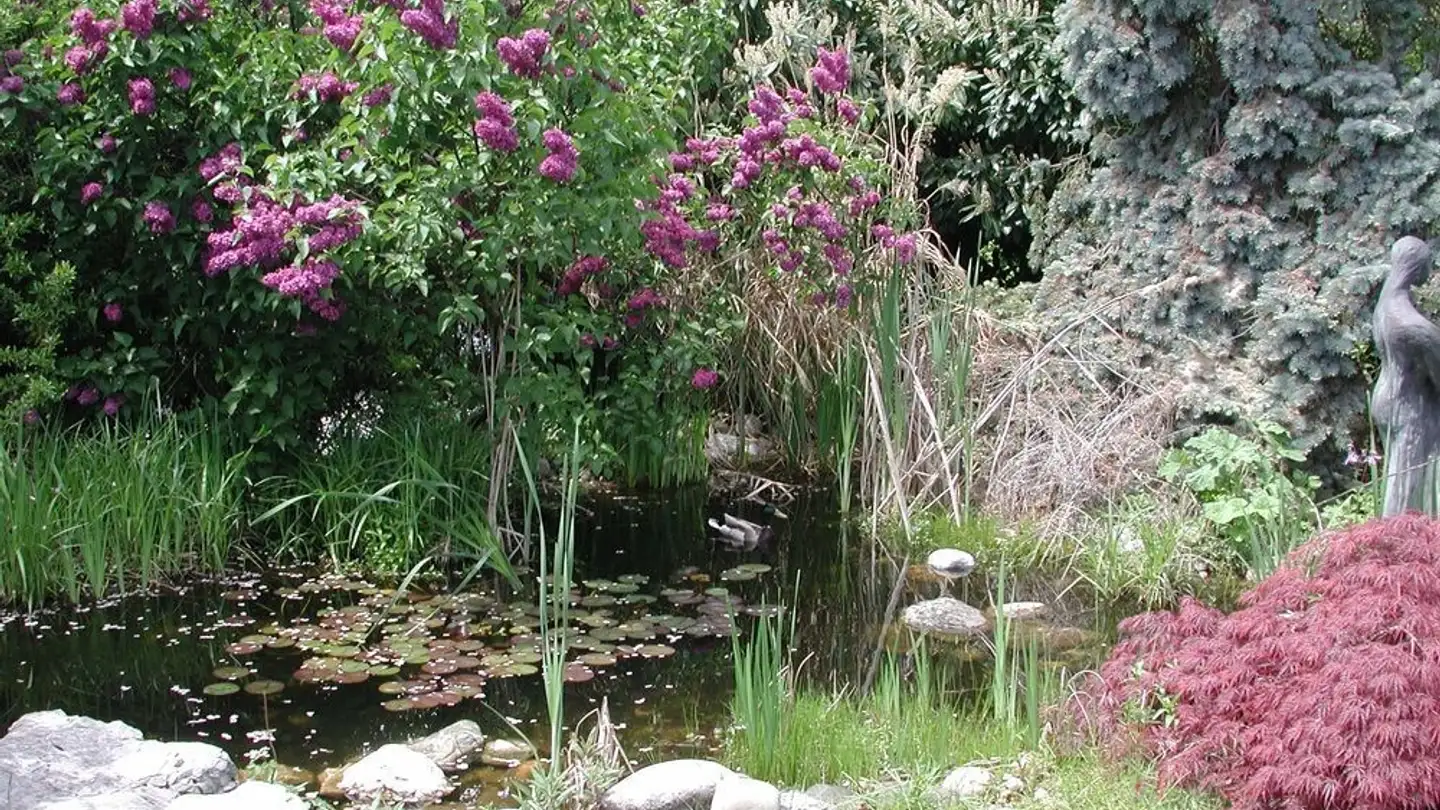 Stanza singola in affitto - Chemin De Broye 2, 1020 Renens VD - Foto 4