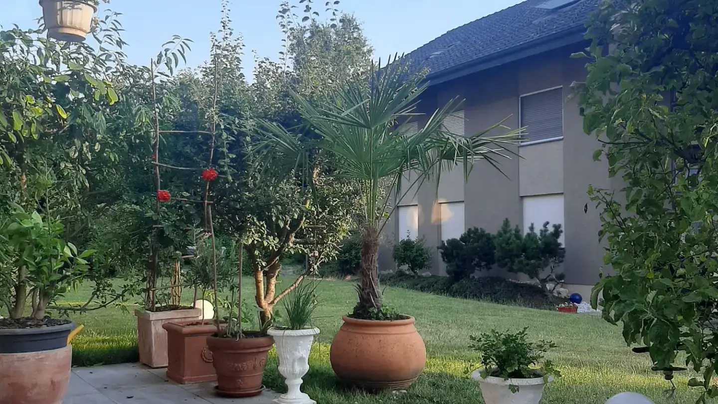 Appartamento in affitto - Solothurnstrasse 50, 3294 Büren an der Aare