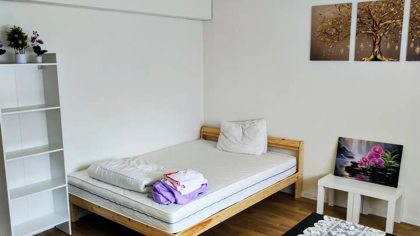 Appartamento in affitto - Steffisburgstrasse 15, 3600 Thun