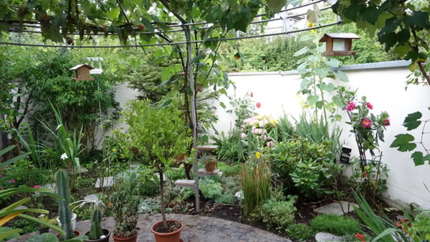 Apartment for rent - Glärnischweg 5, 8604 Volketswil