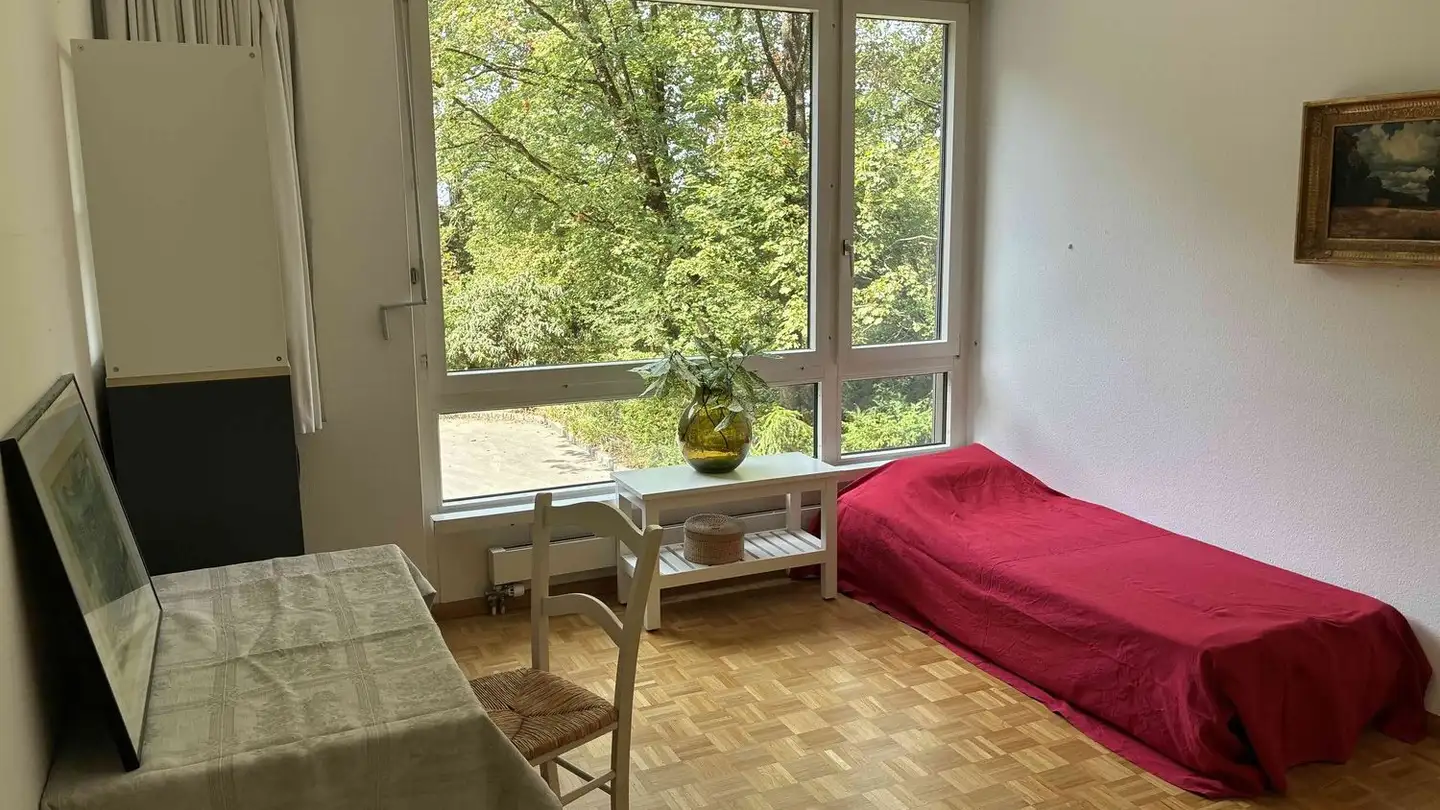 Chambre à louer - 4052 Basel