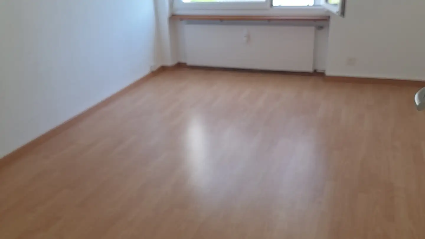 Wohnung mieten - Alte Hägglingerstrasse 31, 5605 Dottikon - Foto 3