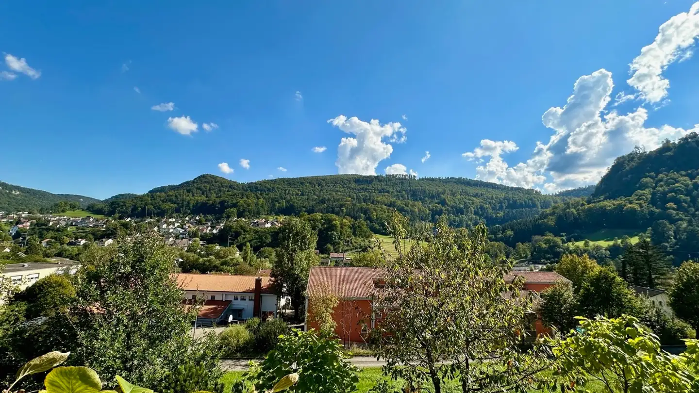 Casa singola in vendita - Nenzlingerweg, 4203 Grellingen - Photo 4