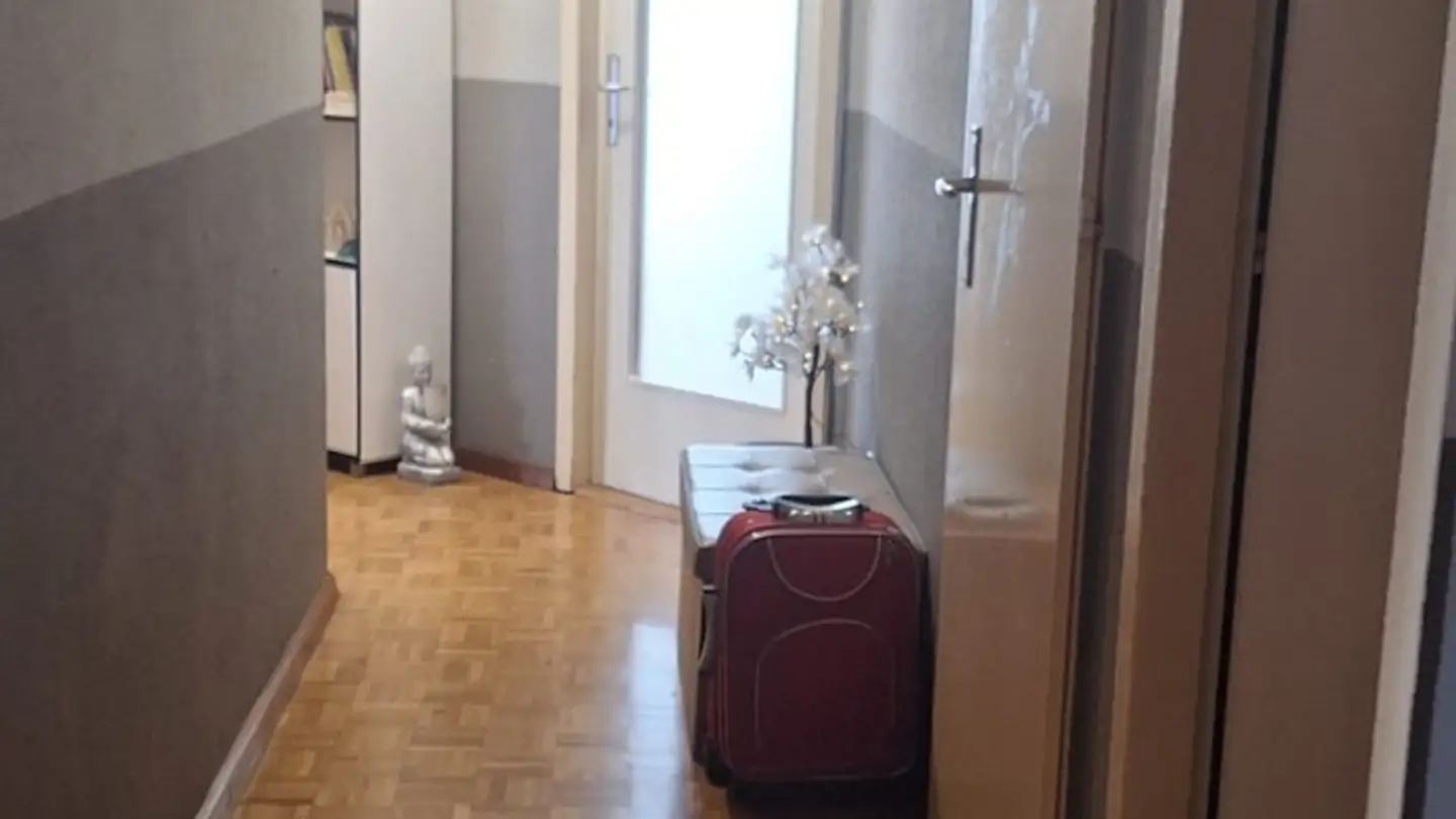 Stanza singola in affitto - 1214 Vernier - Foto 2