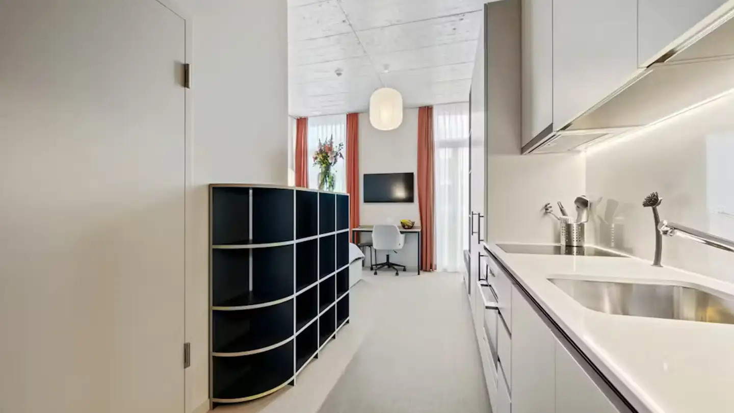 Appartement à louer - Lorzenparkstrasse, 6330 Cham - Photo 4