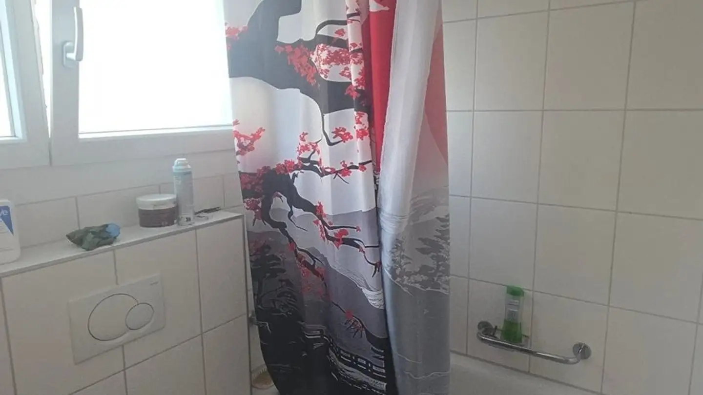 Wohnung mieten - Breitsteinweg 15, 4704 Niederbipp - Foto 3