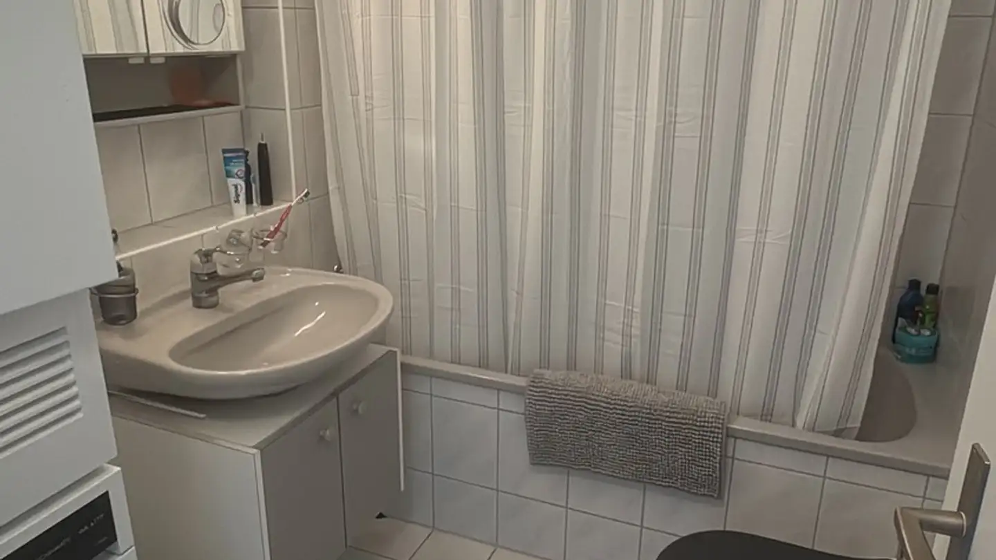 Appartamento in affitto - Unterer Chämletenweg 3b, 6333 Hünenberg See - Photo 4