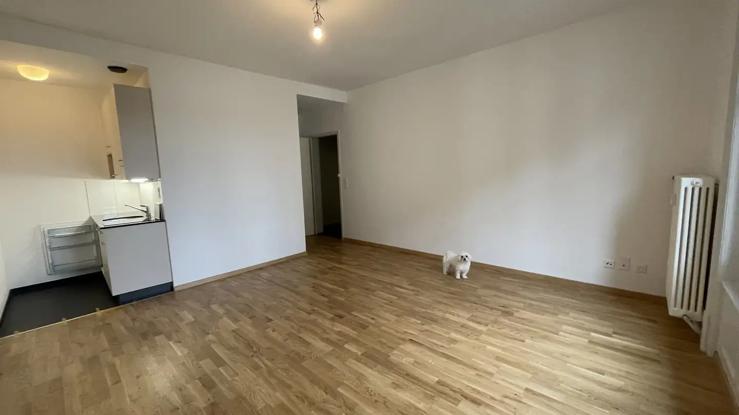 Wohnung mieten - Dapplesweg 11, 3007 Bern - Foto 2