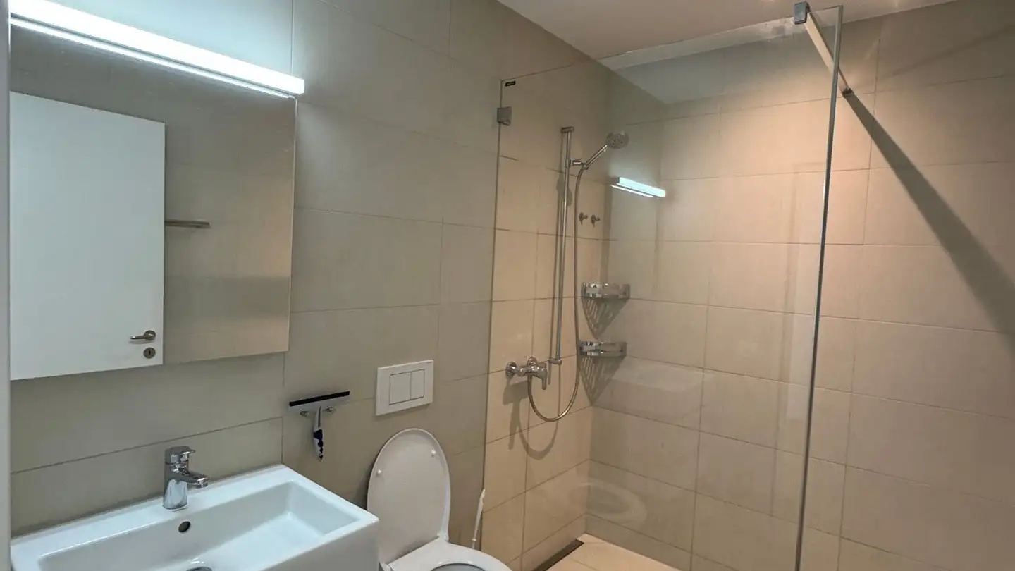 Terrassenwohnung mieten - Klosterzelgstrasse 3, 5210 Windisch - Foto 4