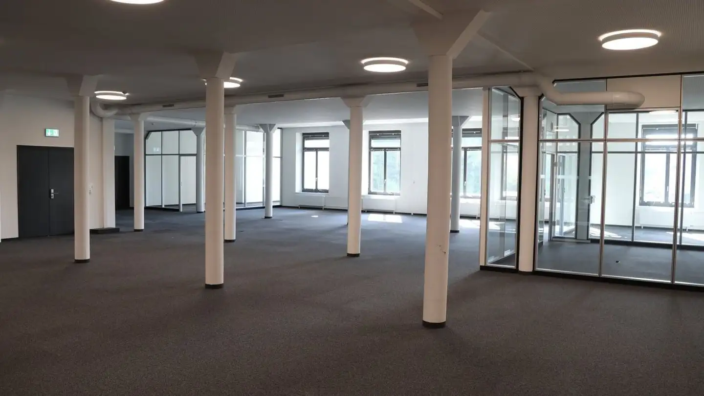 Commercial for rent - Spinnerei-Lettenstrasse 2, 8192 Zweidlen