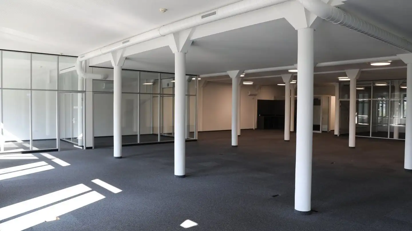 Commercial for rent - Spinnerei-Lettenstrasse 2, 8192 Zweidlen - Photo 4