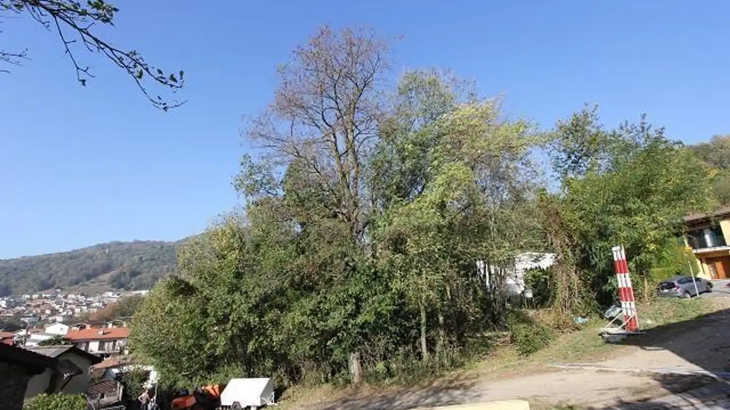 Constructible plot for sale - 6966 Villa Luganese - Photo 2