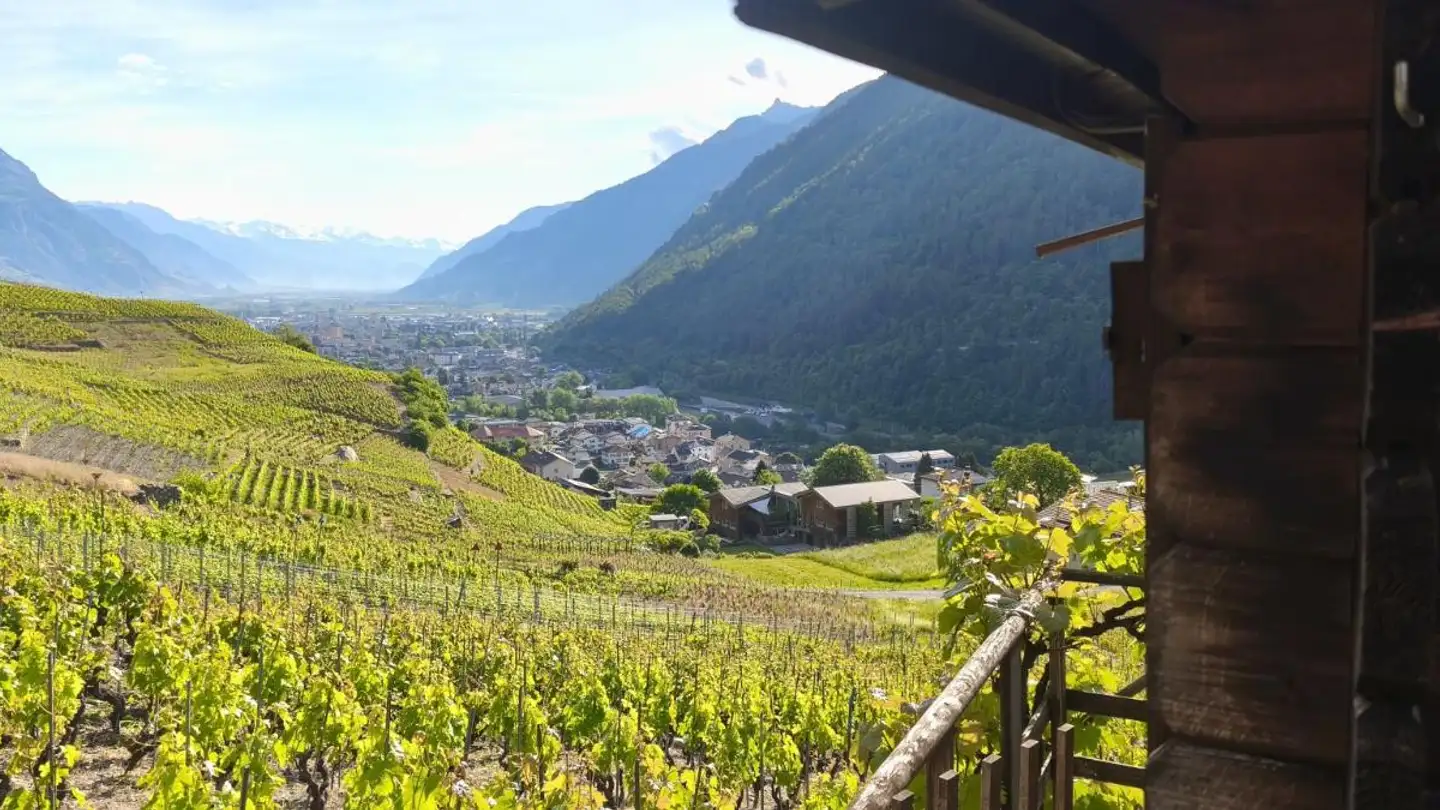 Bien immobilier à vendre - 1920 Martigny