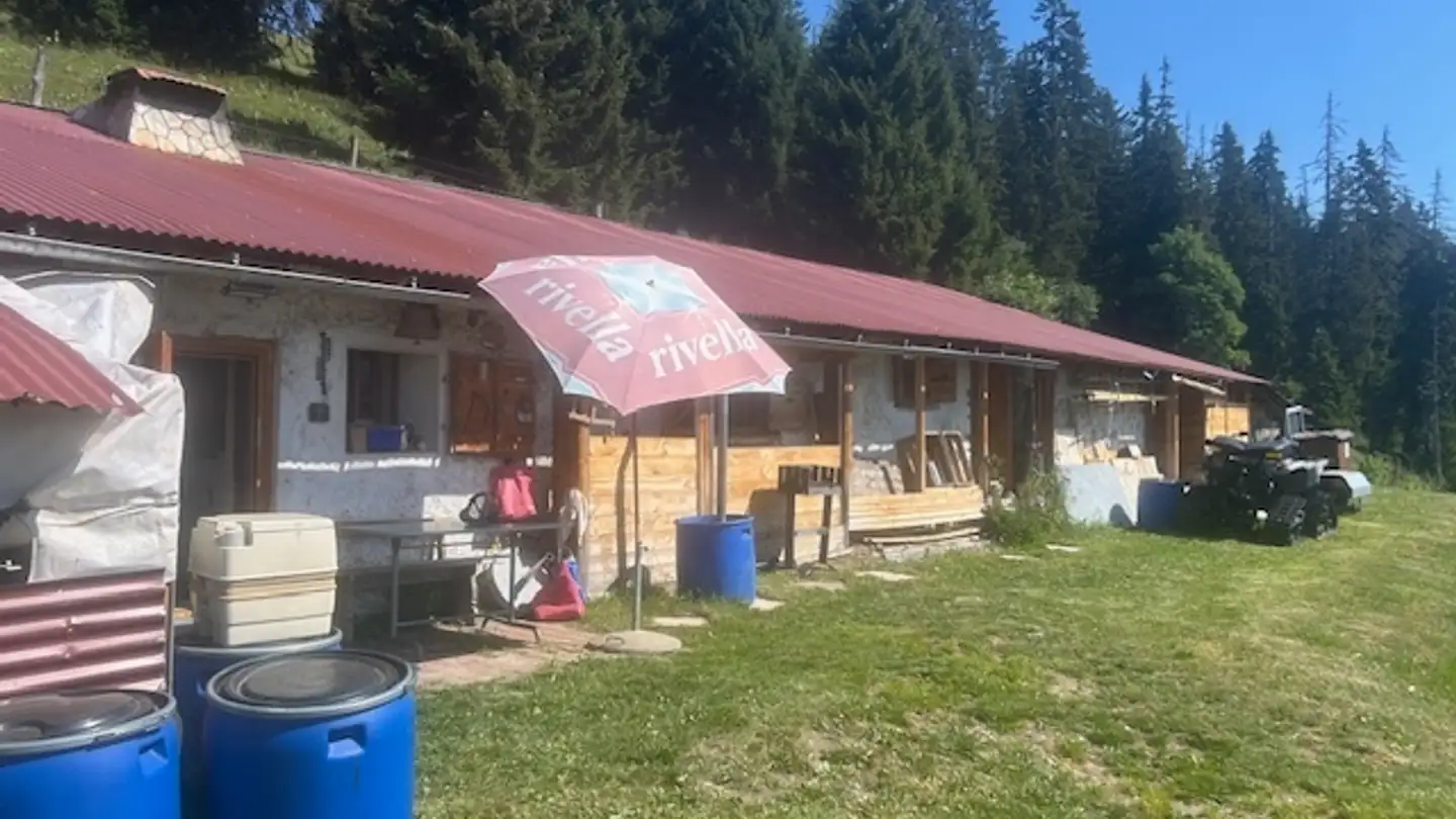Chalet kaufen - Chemin Forestier Du Mont 2, 1862 La Comballaz