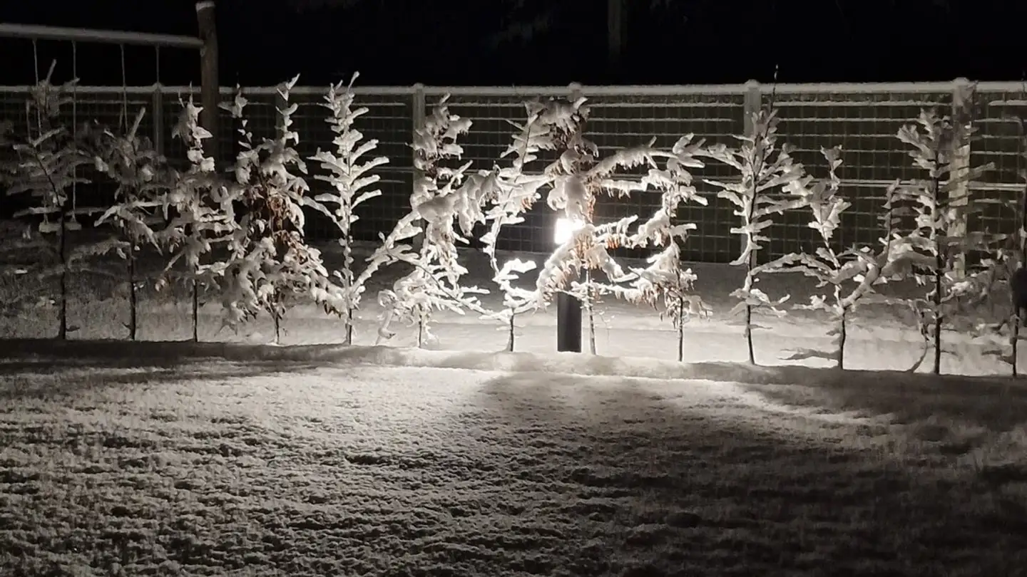 Chambre à louer - 8408 Winterthur - Photo 4