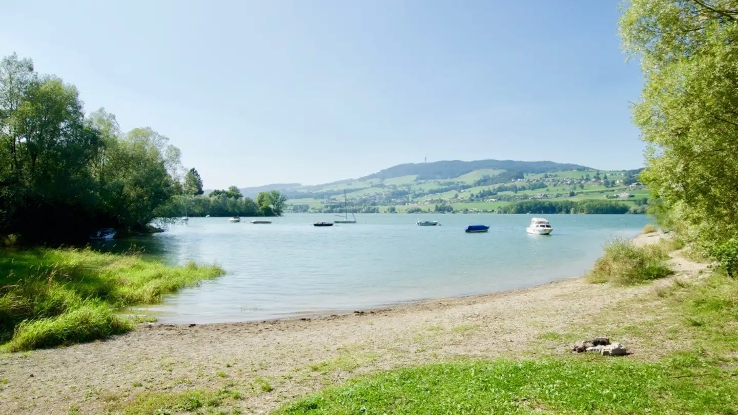 Appartamento in affitto - Chemin Des Planches 10, 1648 Hauteville