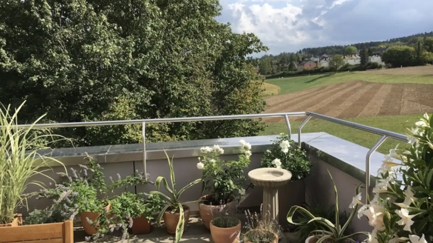 Wohnung mieten - Twäracherstrasse 1, 8118 Pfaffhausen - Foto 2