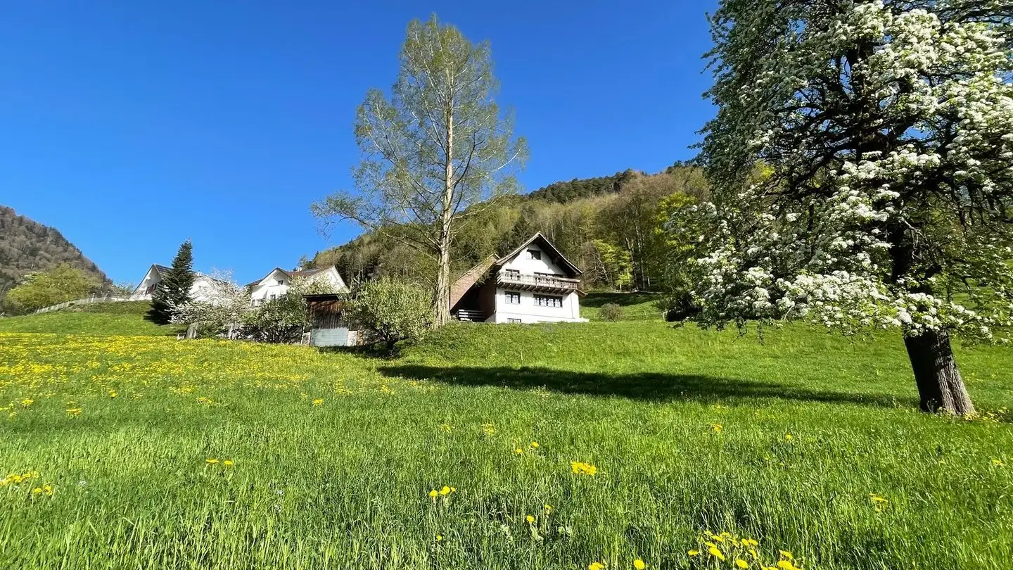 Casa singola in affitto - Alte Freienbachstrasse 15, 9463 Oberriet SG