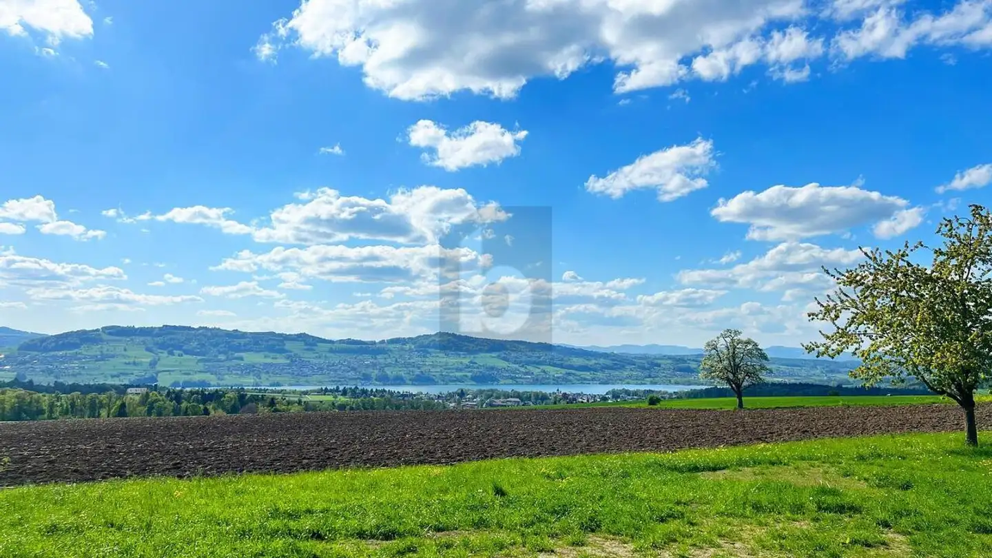 Appartement à louer - 5618 Bettwil