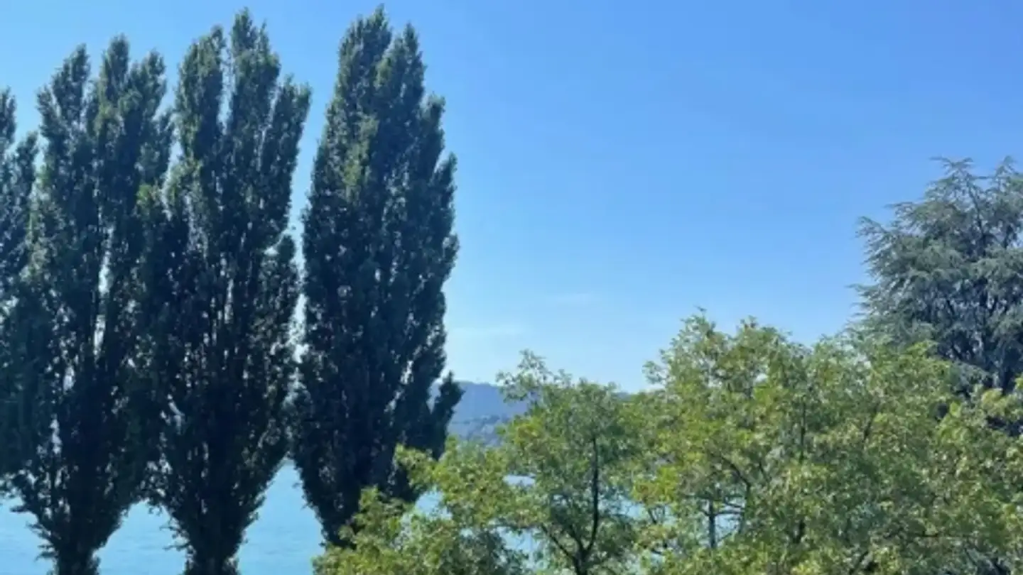 Bürofläche mieten - Bahnhofstrasse 3, 8702 Zollikon