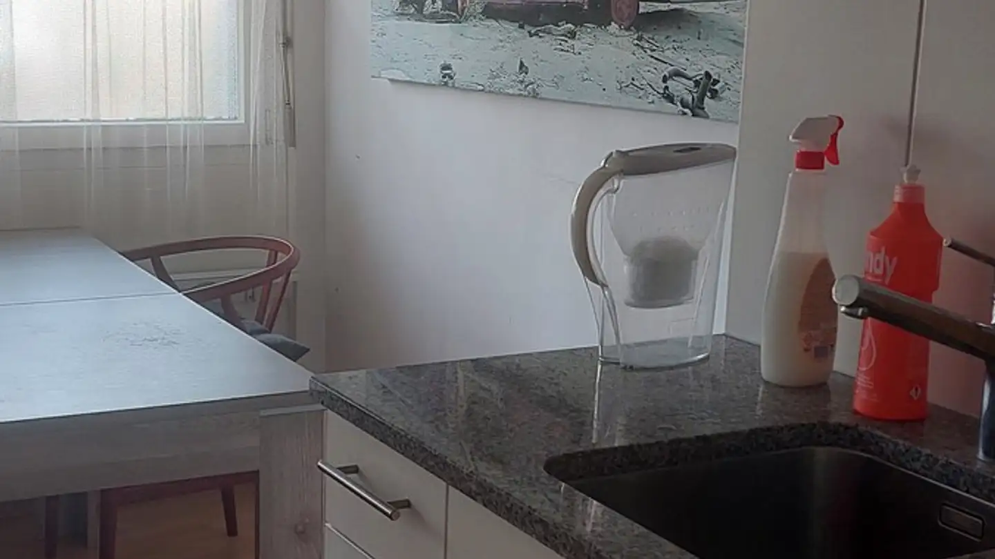 Chambre à louer - 8800 Thalwil - Photo 3
