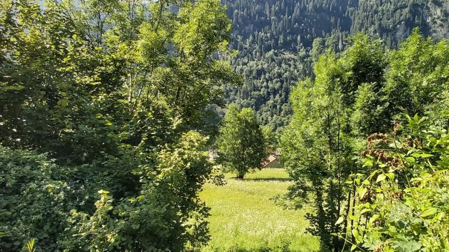 Constructible plot for sale - 6760 Faido