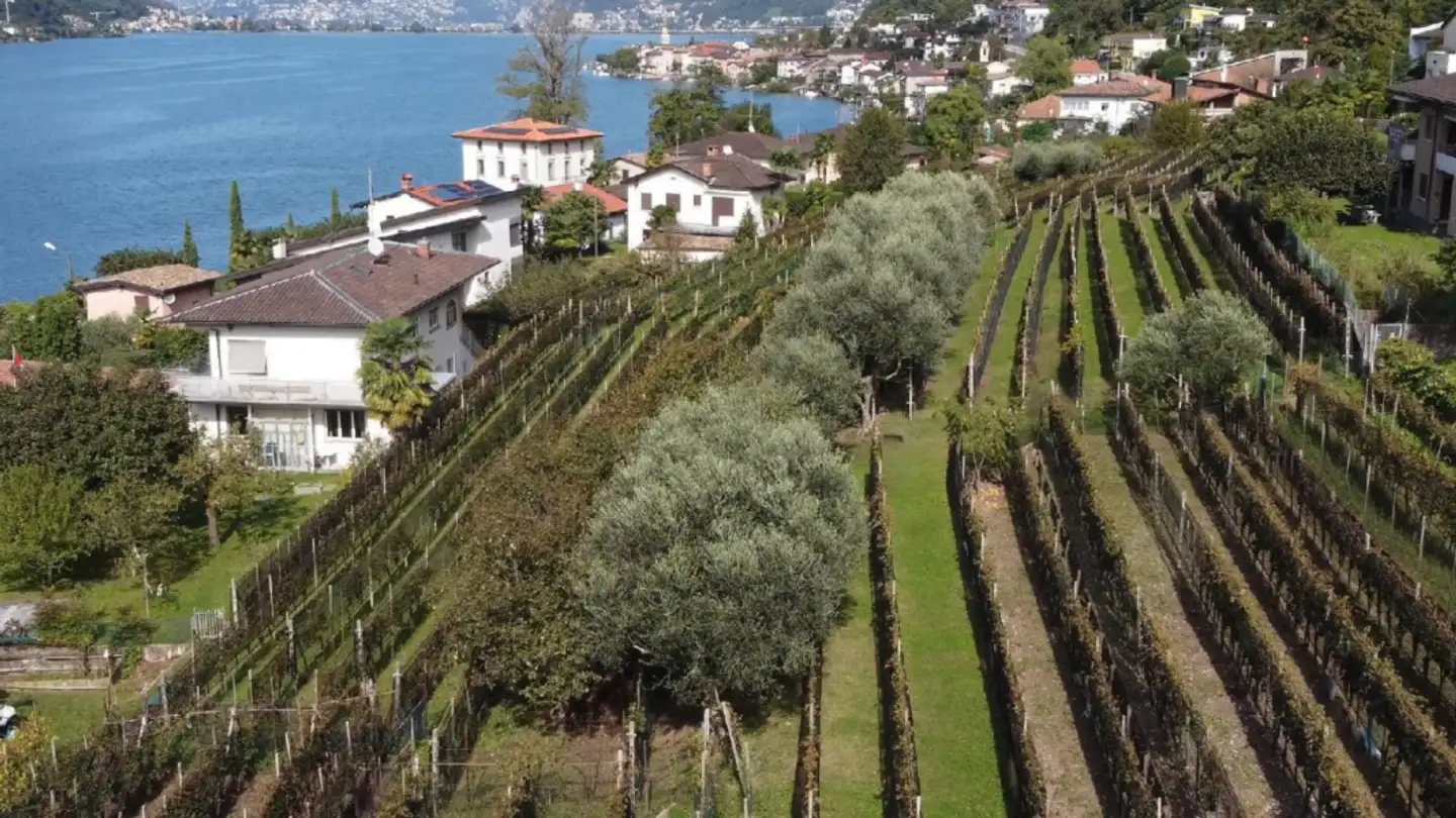 Terreno edificabile in vendita - Via San Giorgio, 6827 Brusino Arsizio - Foto 3