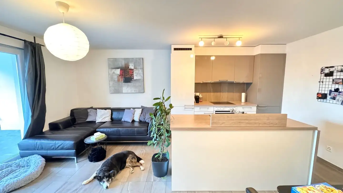 Appartamento a gradini in affitto - 1618 Châtel-St-Denis - Foto 2